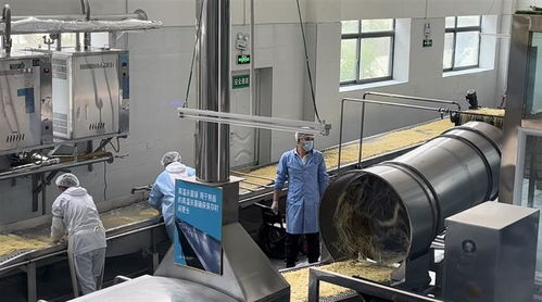 從甜茶館商標(biāo)注冊看拉薩服務(wù)創(chuàng)新與監(jiān)管協(xié)同