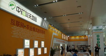 匠心筑展，茶韻飄香 福州展覽搭建工廠的一站式專業(yè)服務(wù)