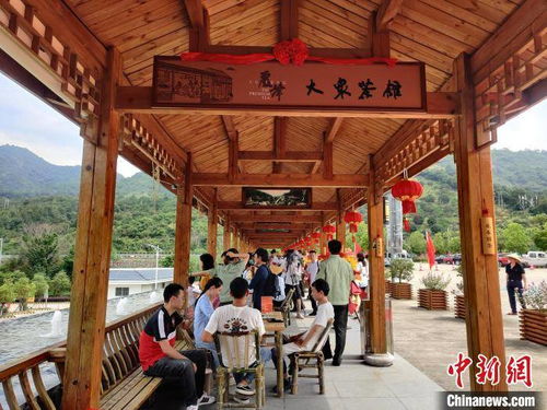 福建首家高速服務區(qū)大眾茶館開業(yè) 探索“茶旅融合”新路徑，為旅途添一縷茶香